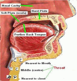 throatal letters