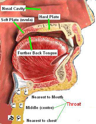 throatal letters