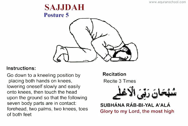 Sajdah 01 (Prostration) 